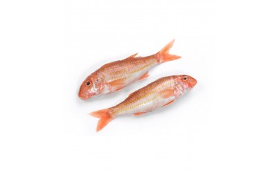 Sultan Ibrahim Fisk Red Mullet 1kg